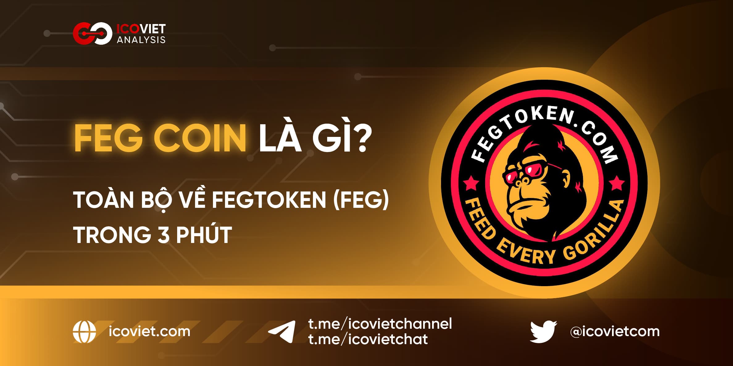 FEG Coin là gì? Toàn bộ về FEGToken (FEG) trong 3 phút