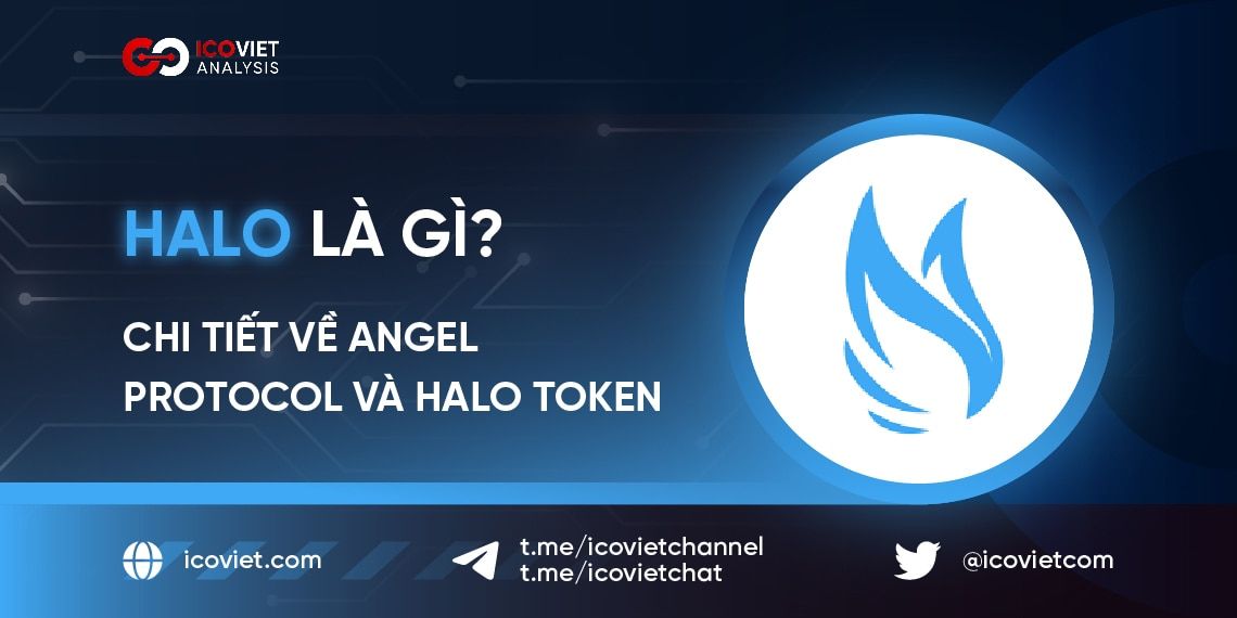 HALO Coin là gì? Chi tiết về Angel Protocol và HALO Token