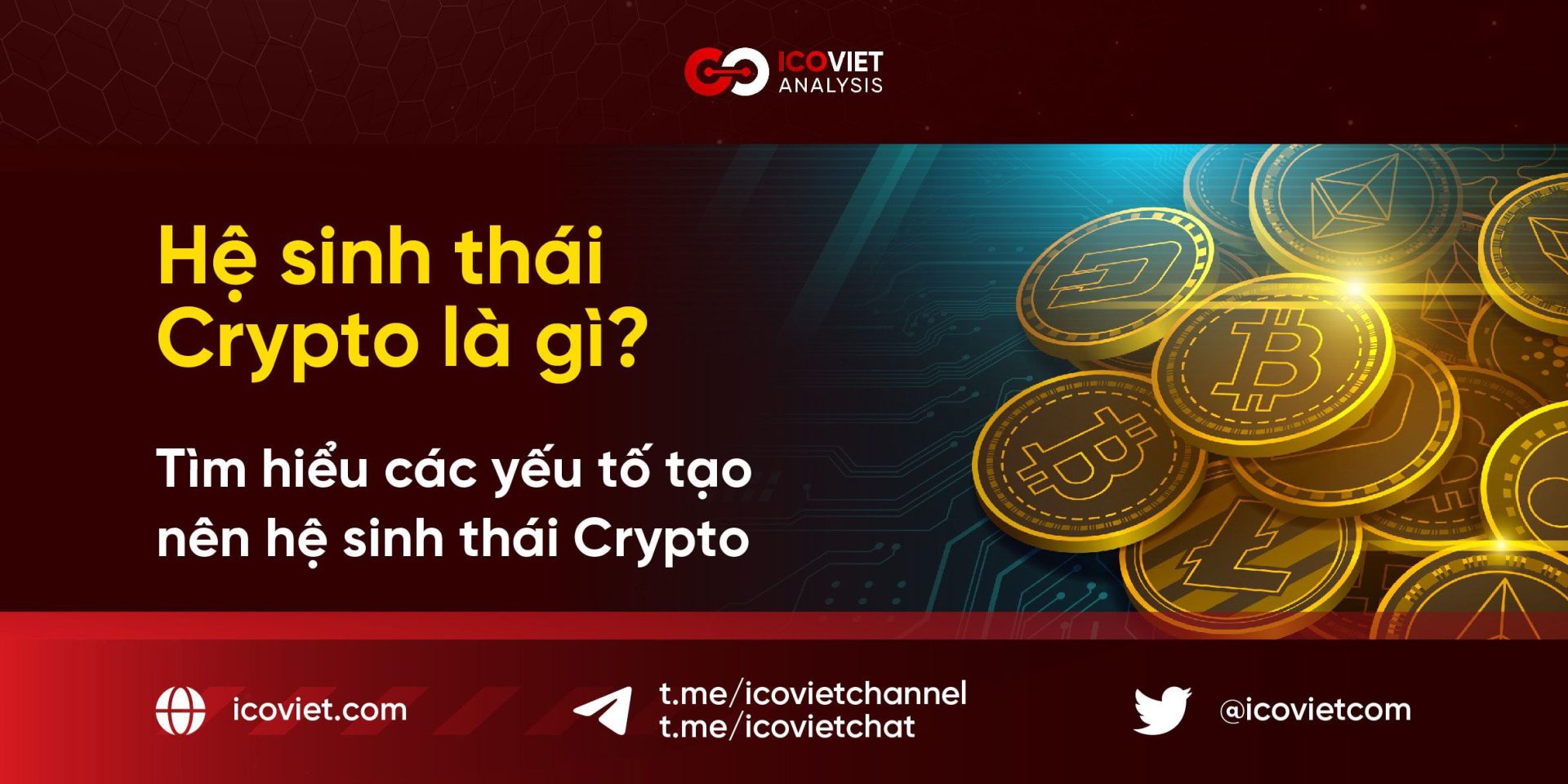 Hệ sinh thái Crypto là gì? Tìm hiểu các yếu tố tạo nên hệ sinh thái Crypto