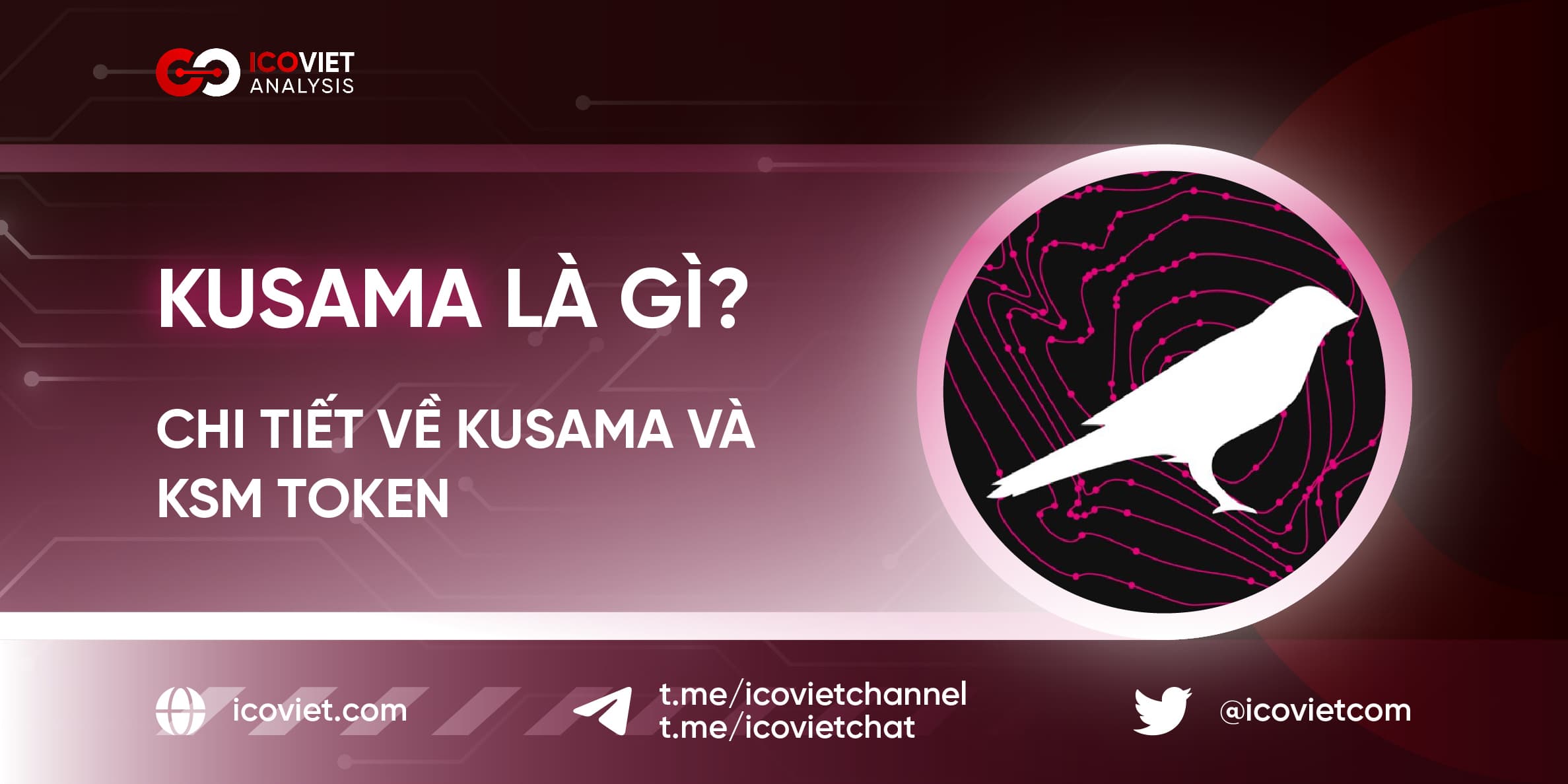 Kusama là gì? Chi tiết về Kusama và KSM Token