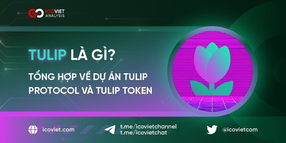 TULIP Coin là gì? Tổng hợp về dự án Tulip Protocol và TULIP Token