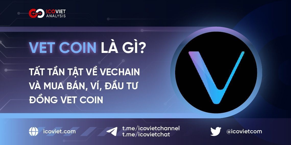 VET Coin là gì? Tất tần tật về Vechain và mua bán, ví, đầu tư đồng VET Coin