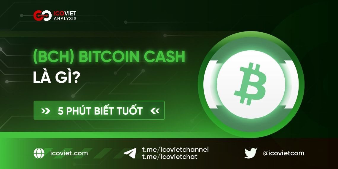 (BCH) Bitcoin Cash là gì? 5 phút biết tuốt