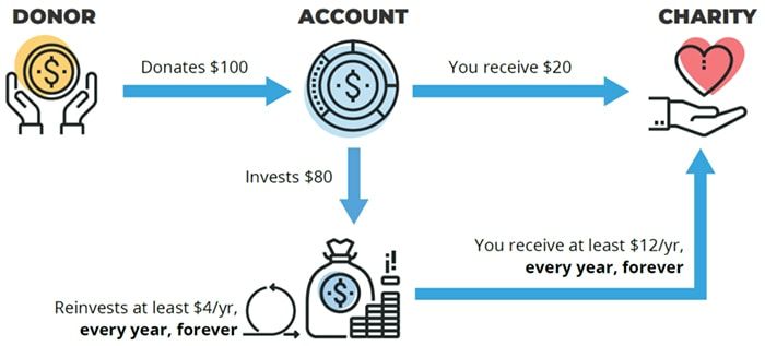 Điểm nổi bật của Angel Protocol