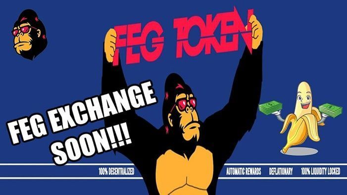 Feg token feg coin là gì