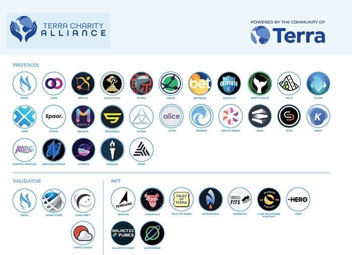 halo charity alliance