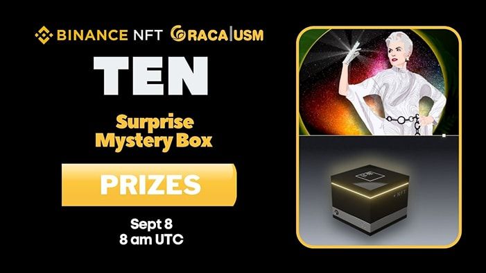 raca maye musk mystery box