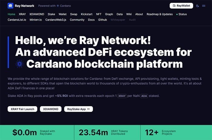 Website Ray Network