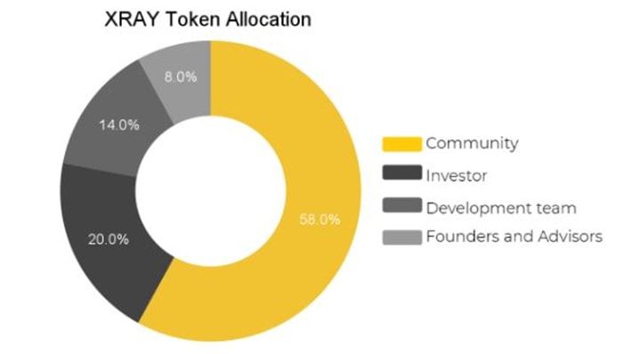 xray token allocation