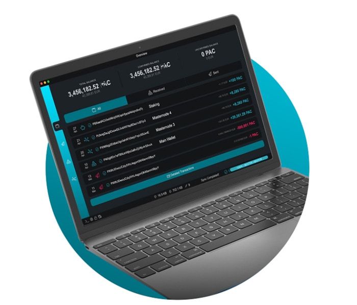 PAC Coin là gì? Phân tích dự án Pac Protocol và PAC Coin yanSAFE là gì