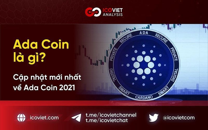 ADA Coin là gì? Cập nhật mới nhất về nền tảng Cardano và ADA Coin 2021