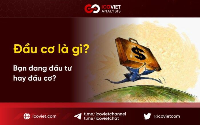 Đầu cơ là gì? Bạn đang đầu tư hay đầu cơ?
