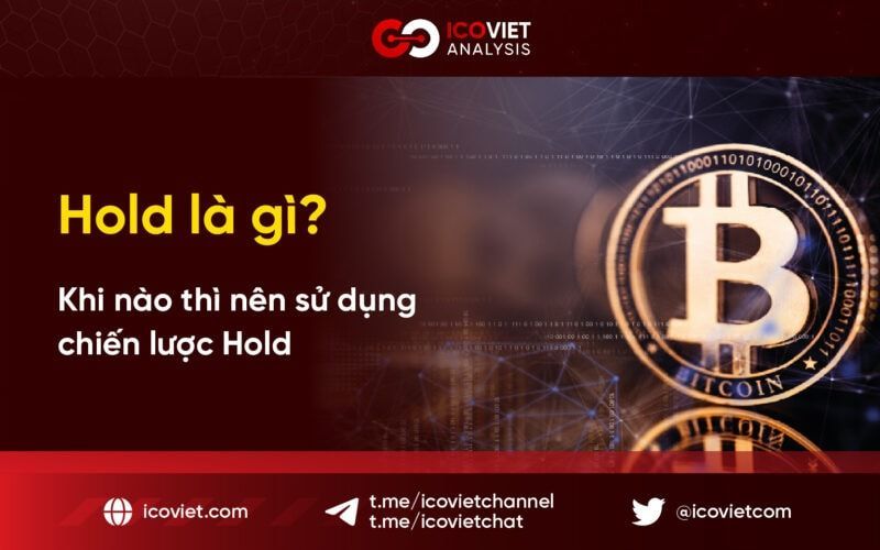 Hold là gì? Khi nào thì nên sử dụng chiến lược Hold