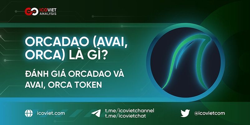 OrcaDAO (AVAI, ORCA) là gì? Đánh giá OrcaDAO và AVAI, ORCA Token