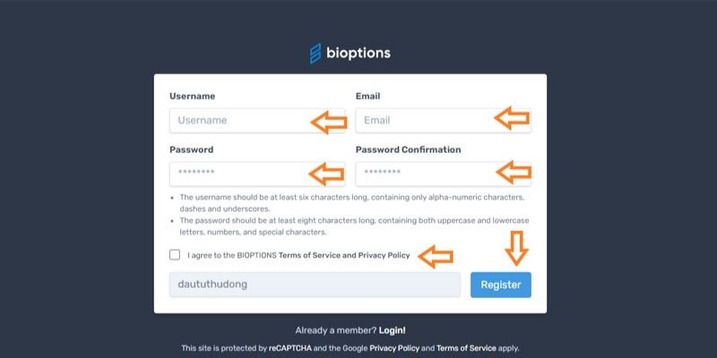 Bioption là gì?