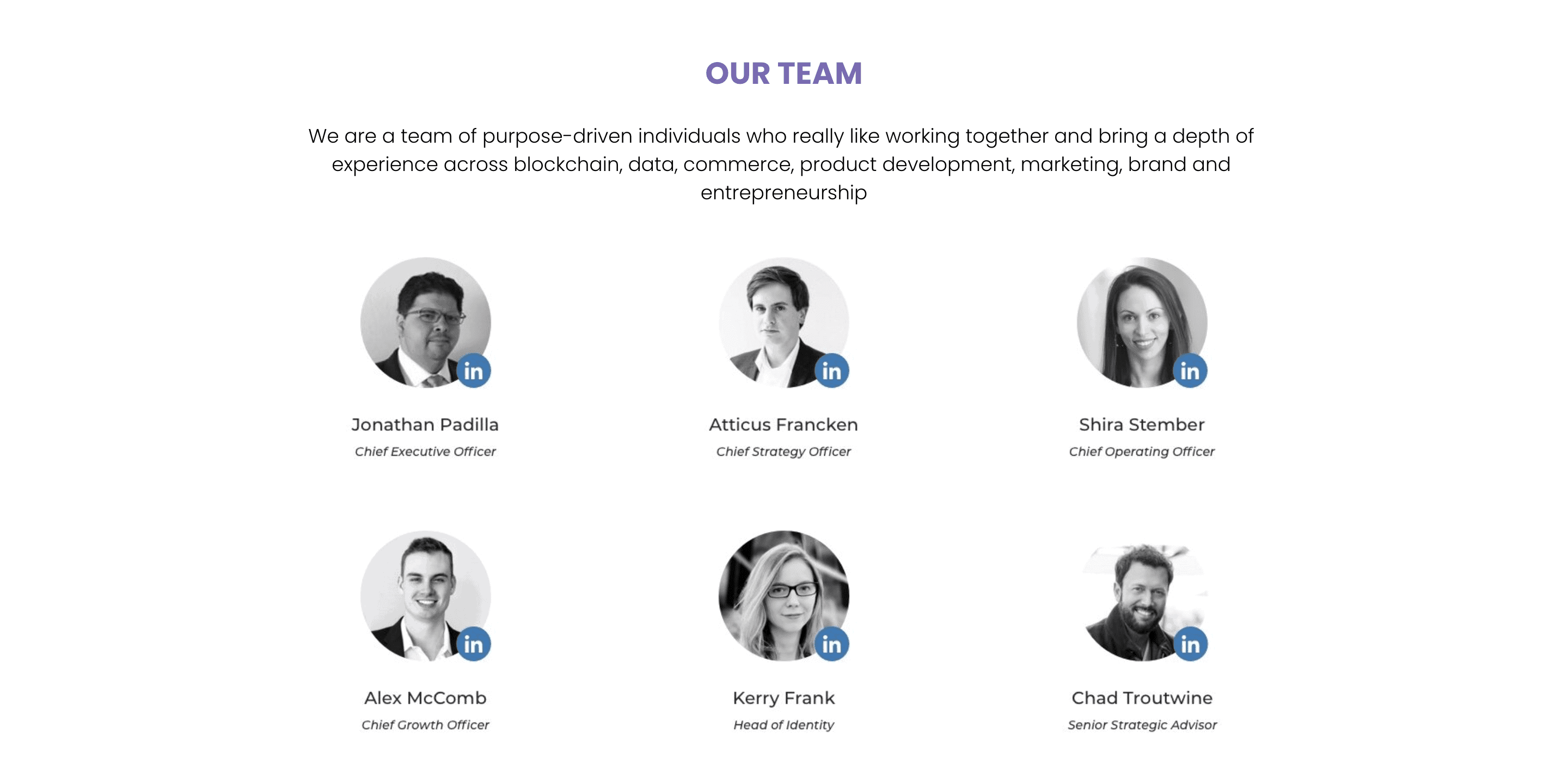 snickerdoodle labs team