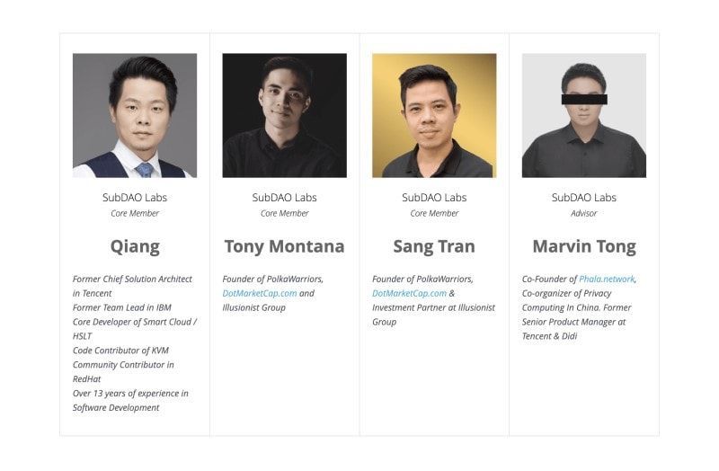 SubDAO Crowdloan subdao team