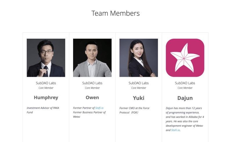 SubDAO Crowdloan subdao team