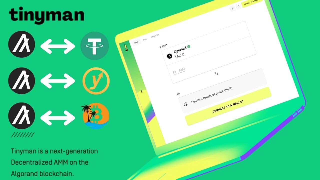  timyman coin