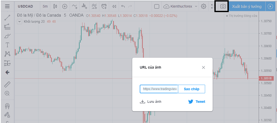 TradingView