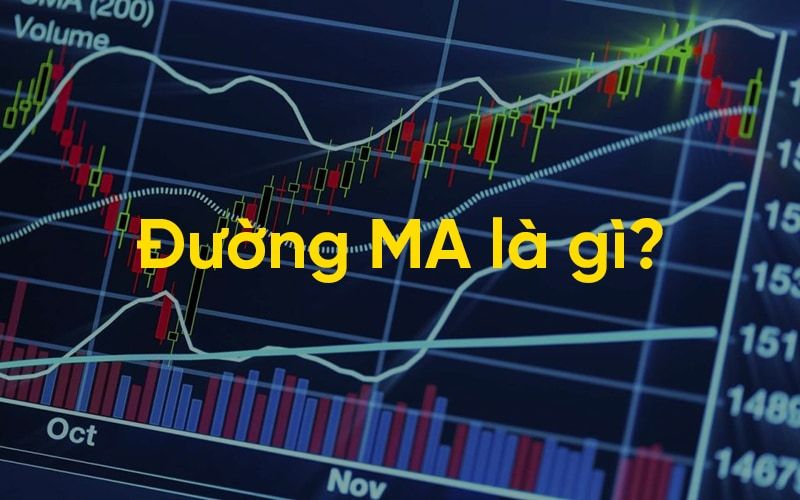 Đường MA là gì