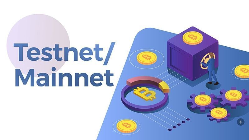 Testnet và Mainnet là gì