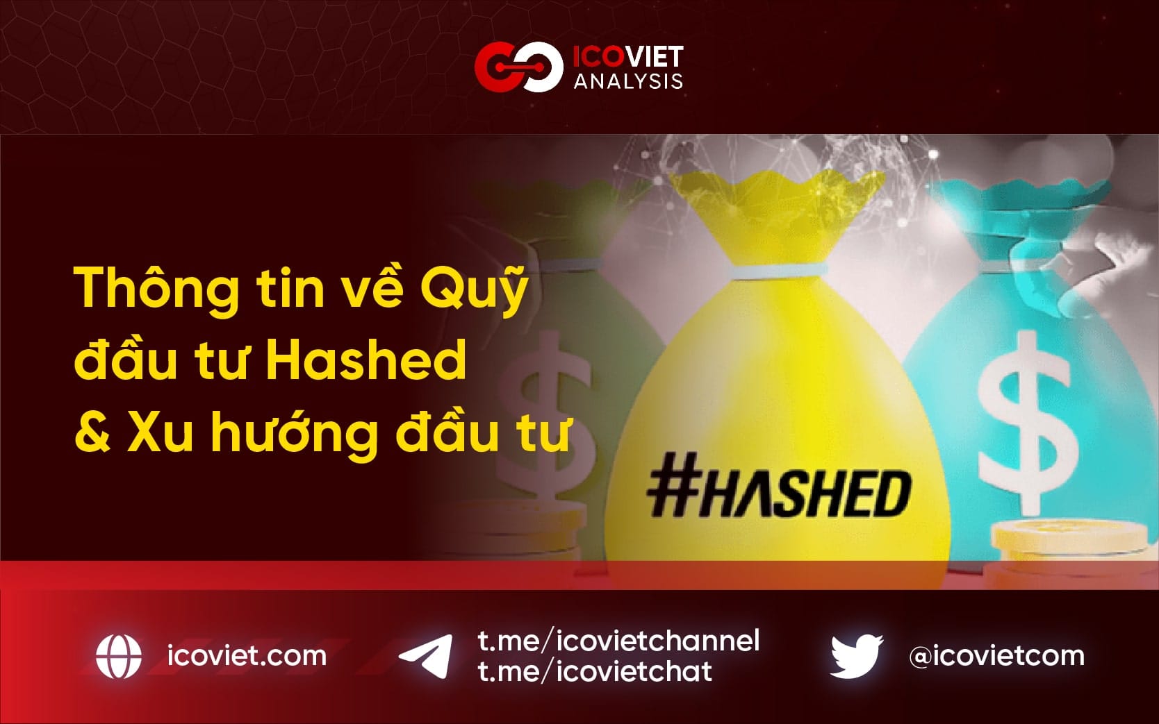 Thông tin về Quỹ đầu tư Hashed & Xu hướng đầu tư