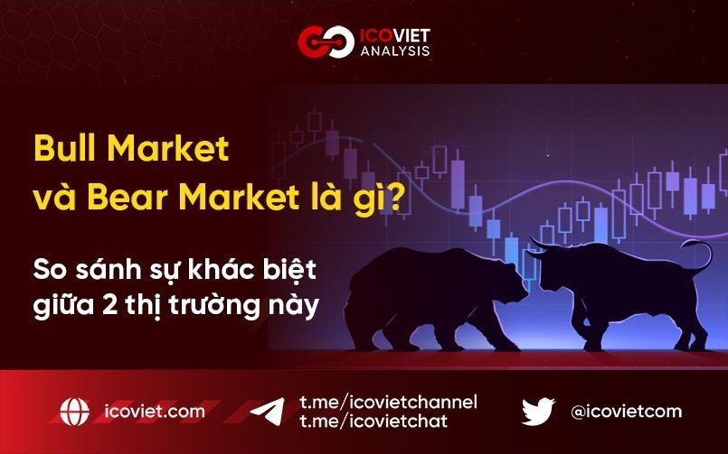 Bull Market và Bear Market trong Crypto là gì? So sánh sự khác biệt của 2 thị trường này