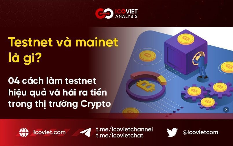 Testnet và Mainnet là gì? 4 cách làm testnet hiệu quả và hái ra tiền trong thị trường Crypto