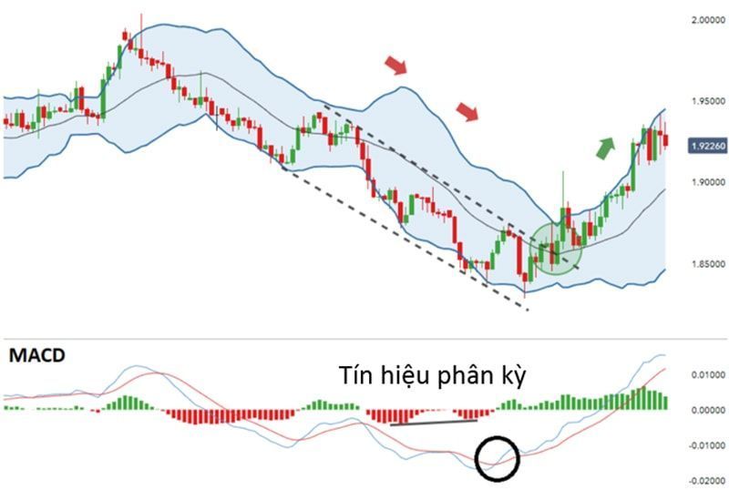 MACD và Bollinger Bands