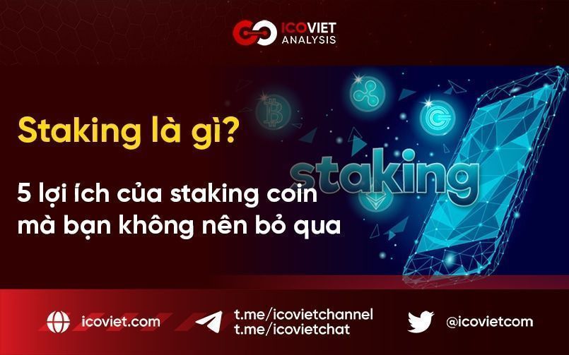 Staking là gì? 5 lợi ích của staking coin mà bạn không nên bỏ qua