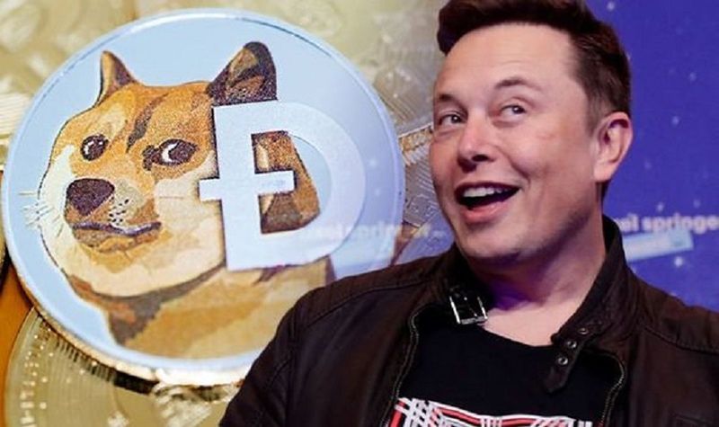 elon musk shill dogecoin
