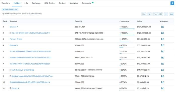 holder ftm etherscan