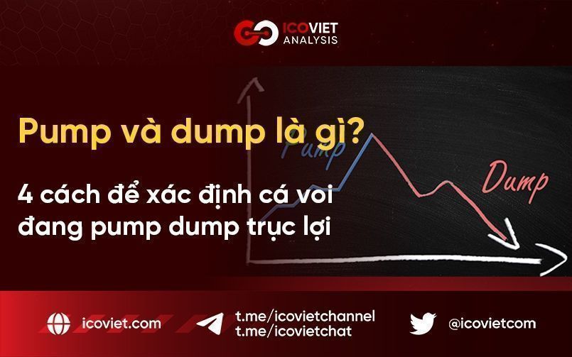 Pump và dump là gì? 4 cách để xác định cá voi đang pump dump trục lợi