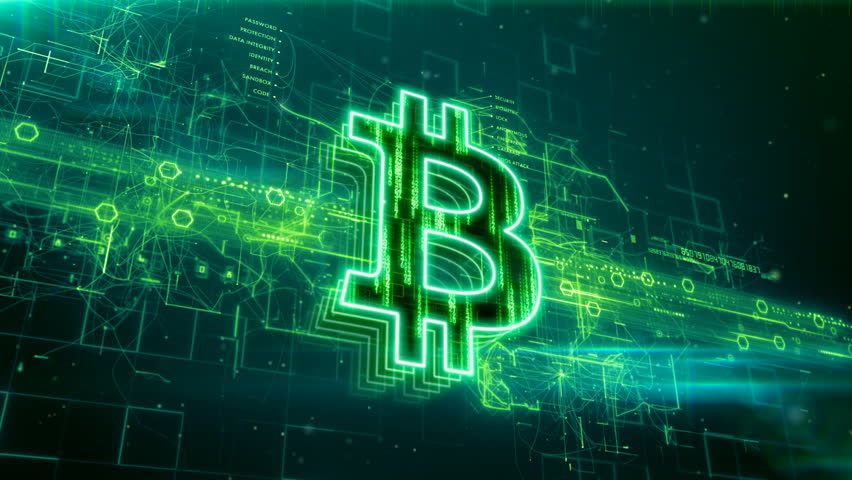 theo dõi bitcoin