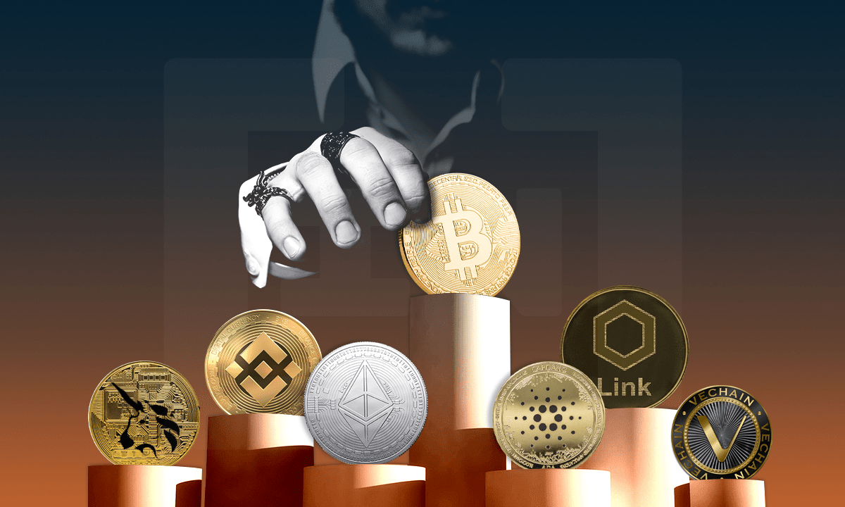 xác định coin