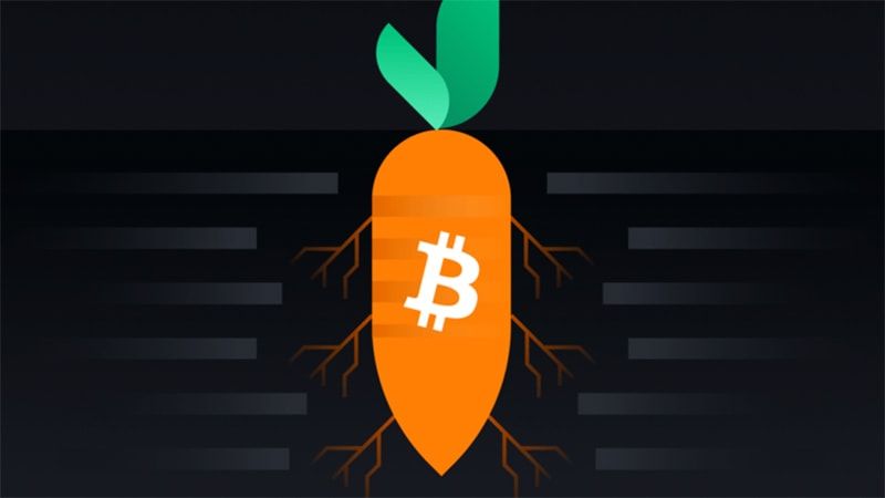 Bitcoin Taproot là gì