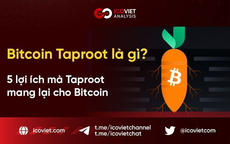Bitcoin Taproot là gì? 5 lợi ích mà Taproot mang lại cho Bitcoin