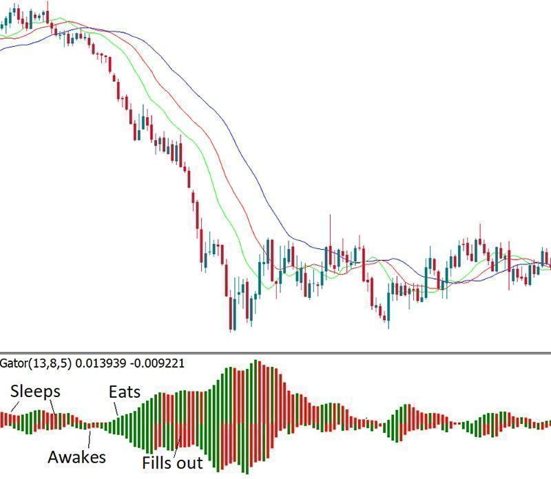 Chỉ báo Gator Oscillator là gì?