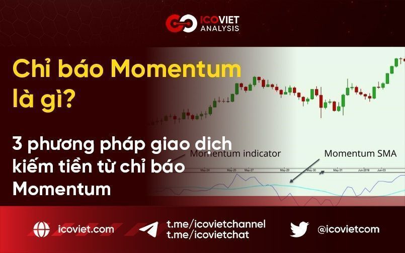 Chỉ báo Momentum là gì? 3 phương pháp giao dịch kiếm tiền từ chỉ báo Momentum