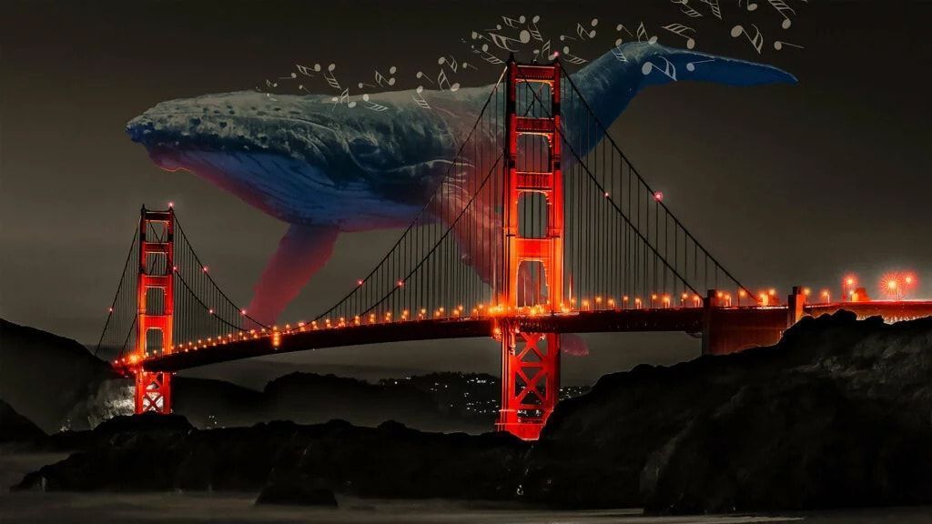 Social Token là gì? Tất cả thông tin về xu hướng token mới của thị trường crypto Giant Whale Music