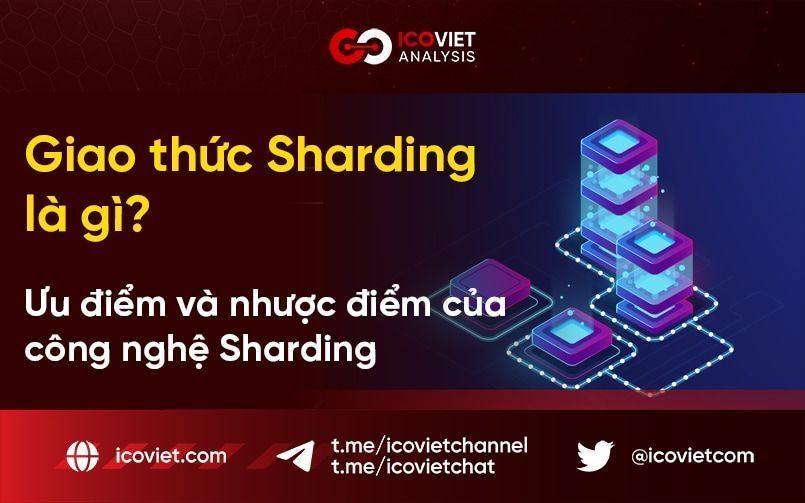 Giao thức Sharding là gì? Ưu điểm và nhược điểm của công nghệ Sharding