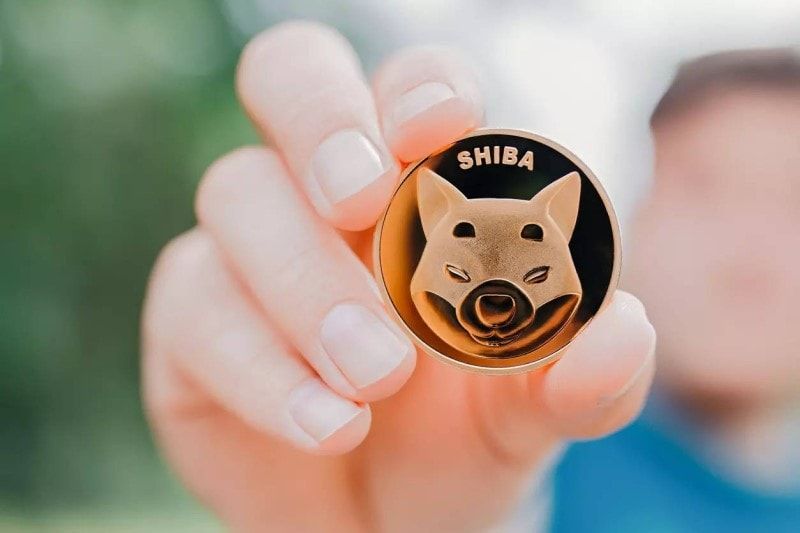 Shiba coin