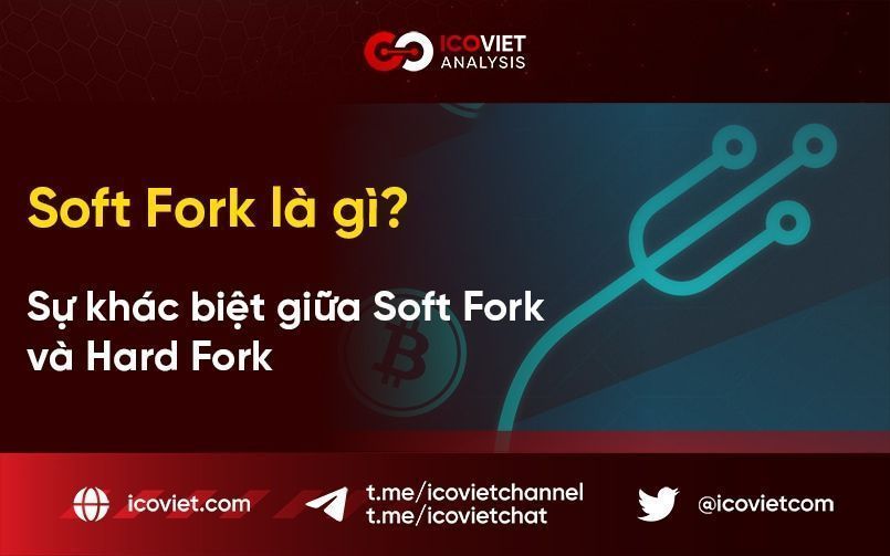 Soft Fork là gì? Sự khác biệt giữa Soft Fork và Hard Fork
