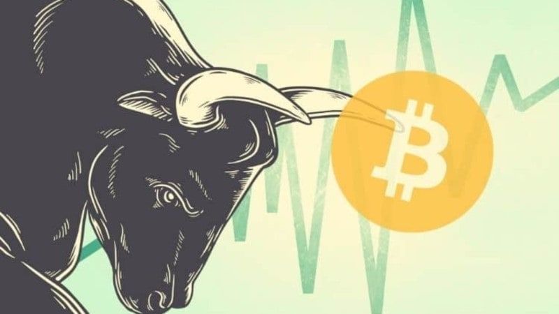 bull run bitcoin 2020