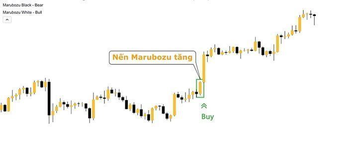 cach giao dich voi nen marubozu