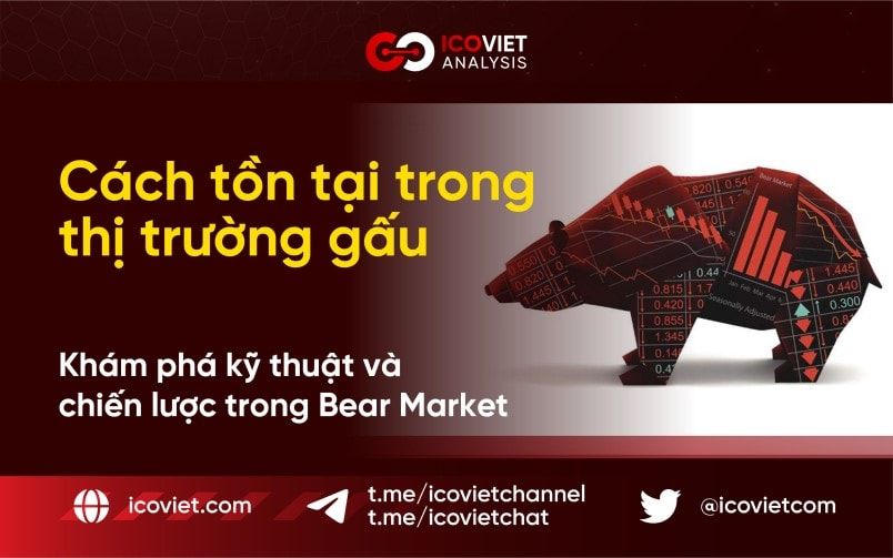 12 cách để tồn tại trong thị trường gấu tiền điện tử