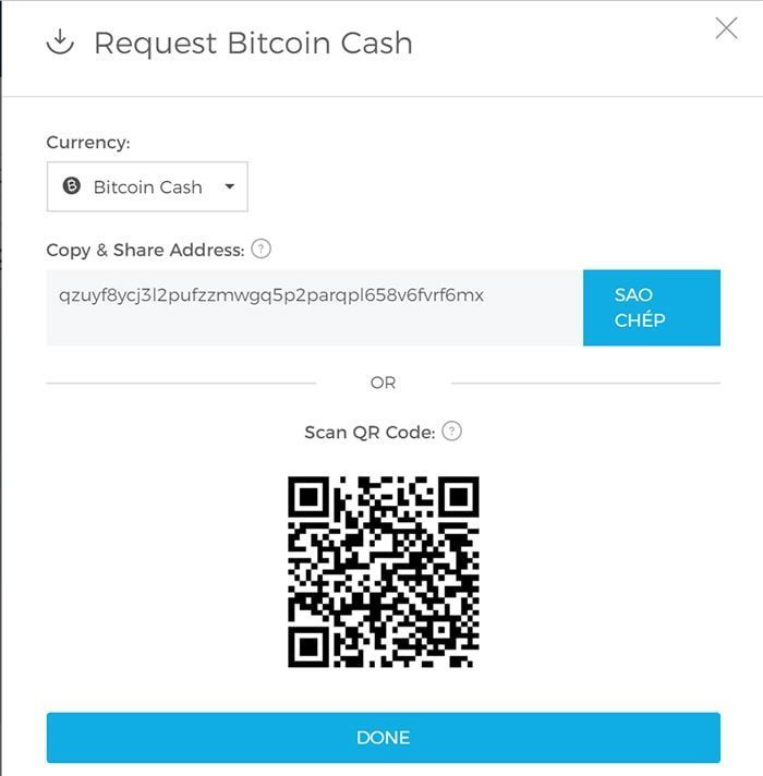 chuyen bitcoin cash vao vi blockchain