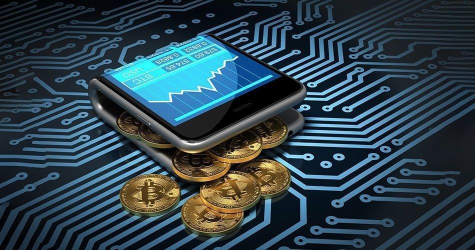  crypto wallet