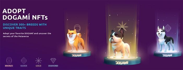 diem noi bat cua du an dogami 1
